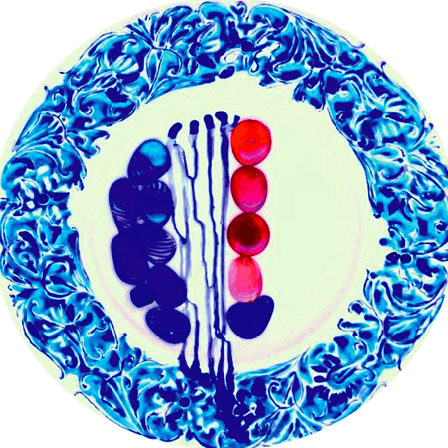 porcelain plate